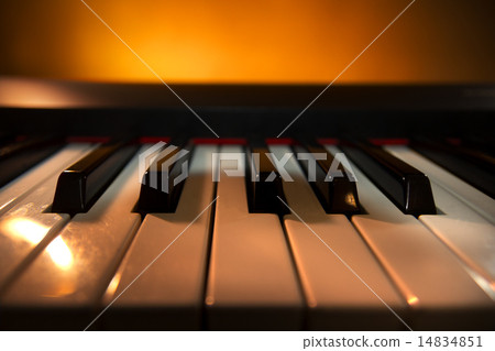 Piano keyboard Piano keyboard 14834851