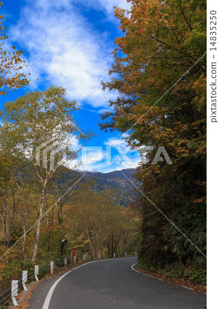 Autumn Kamikochi Autumn Kamikochi 14835250