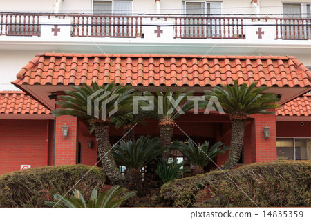 Zushi Marina 14835359