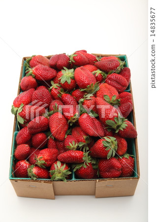 Strawberry Strawberry 14835677
