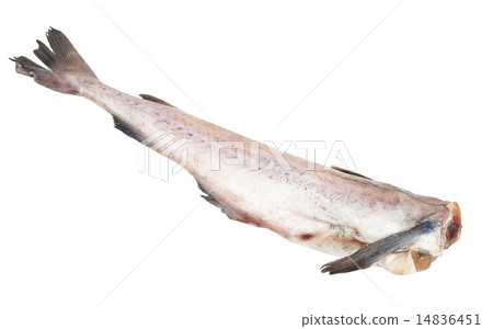 Raw pollack 14836451