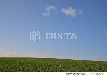Hill landscape Hill landscape 14836592