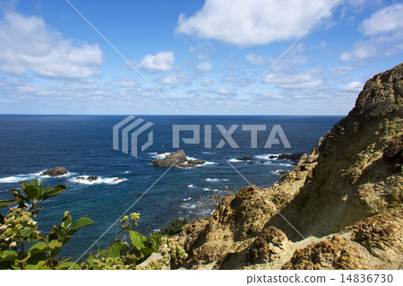 Shingon Cape 14836730