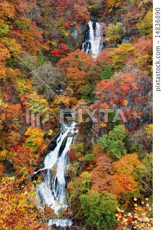 Autumn leaves and waterfall 14836890
