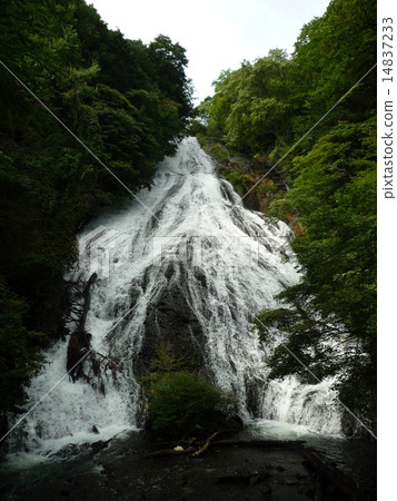 Yudaki Yudaki 14837233