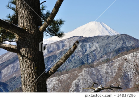 Fuji from Tanzawa in winter 14837296
