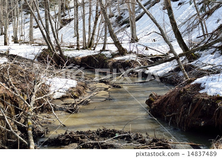 春天解凍 14837489