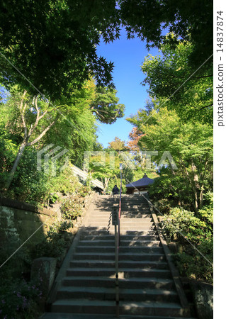 October of Hasederaji 14837874