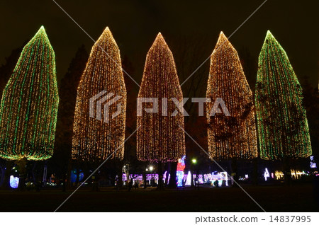 Festival of light 14837995