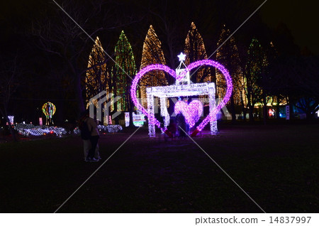 Festival of light 14837997