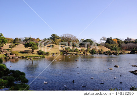 Suizenji公園 14838290