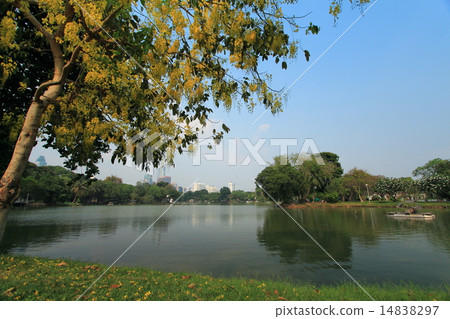 Lumpini Park 14838297