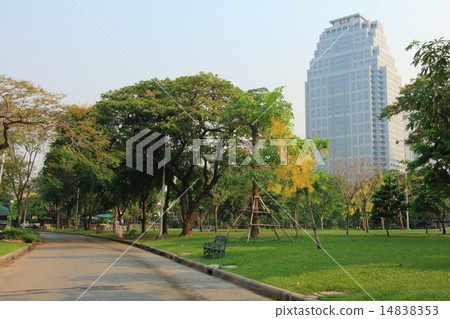 Lumpini Park 14838353