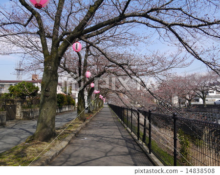 Tama City · Utada River 14838508