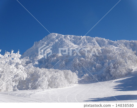 Mikao Rikami Mikao Rikami 14838580