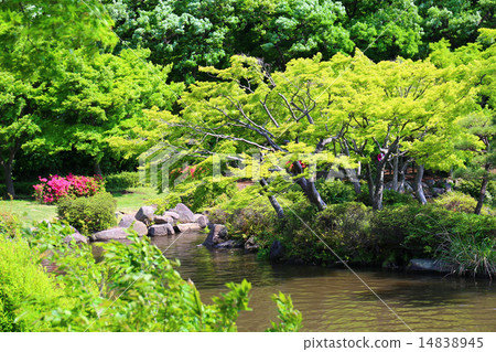 新鮮的綠色公園 新鮮的綠色公園 14838945