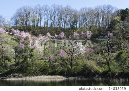 Lake shores of spring Lake shores of spring 14838959