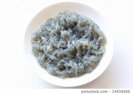 原始的西拉斯 14838988