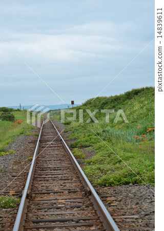 Kushiomiya line 14839611