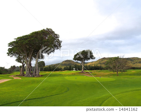 Turtle Bay Arnold Palmer Course Turtle Bay Arnold Palmer Course 14841162