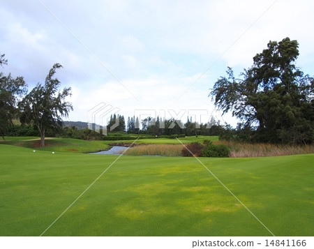 Turtle Bay Arnold Palmer Course 14841166