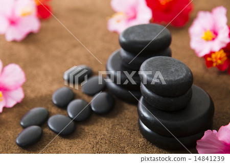 Beauty Beauty 14841239