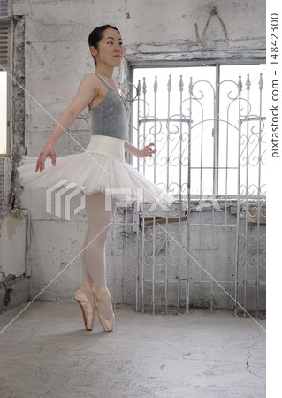 ballet  14842300
