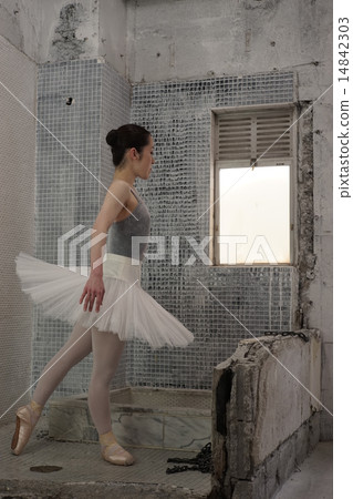 ballet ballet 14842303