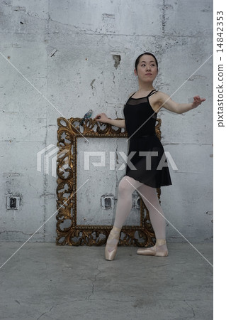 ballet ballet 14842353