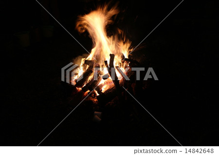 Firewood 14842648