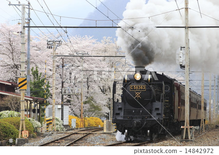Spring Chichibu Railway SL 14842972