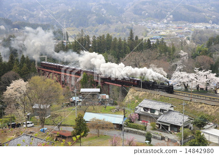 春天秩父鐵路SL 春天秩父鐵路SL 14842980