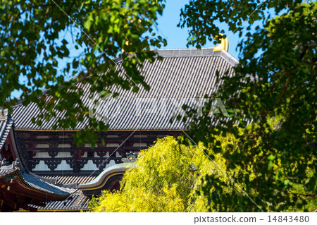 Todaiji Temple of Great Bodens 14843480