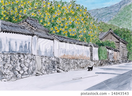 White wall and summer orange 14843543