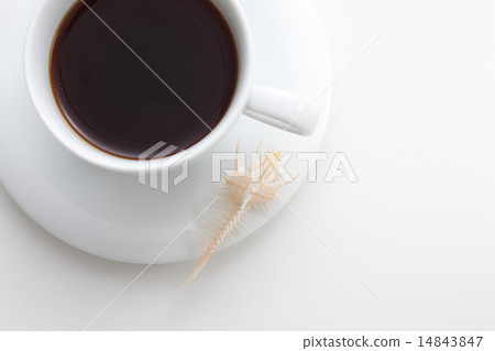 Coffee cup and shell 14843847