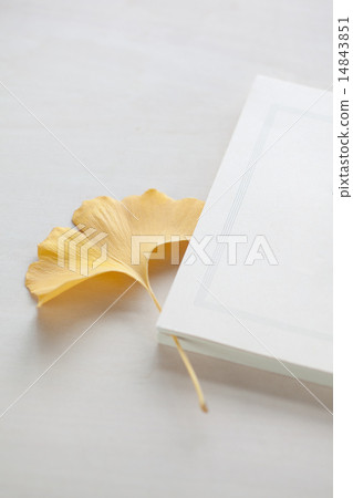 Bookmark of Ginkgo 14843851