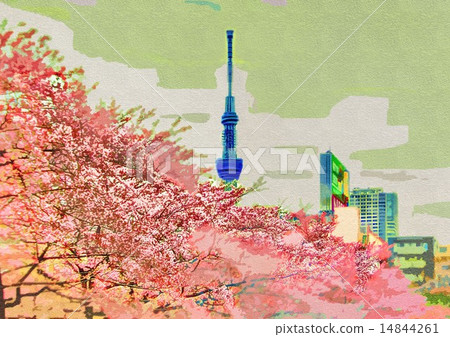 櫻花和天空樹在Sarukawa皇家公園 14844261