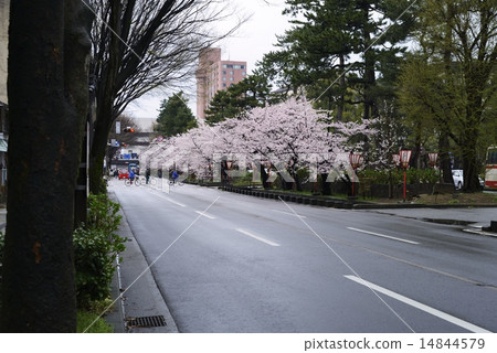 Kanazawa Hirosaka street 14844579