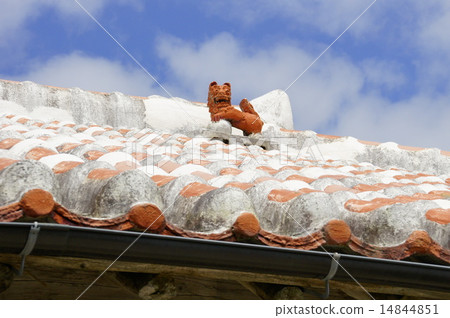 SHISA SHISA 14844851