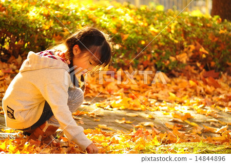 採摘下落的葉子的女孩 14844896
