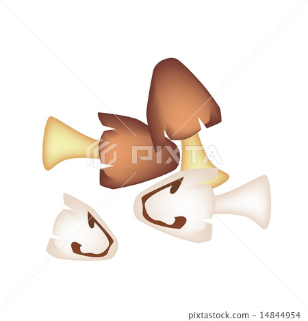 A Stack of Straw Mushrooms on White Background 14844954