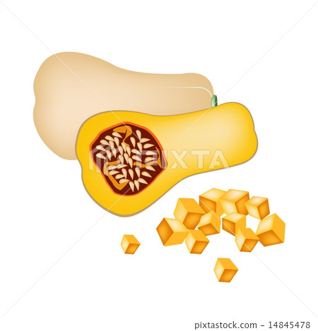 Fresh Butternut Squash on A White Background 14845478