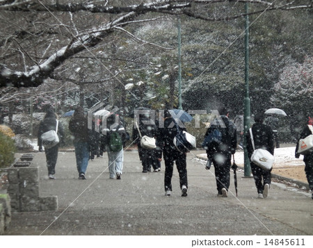 Candidates heading to the entrance examination venue Candidates heading to the entrance examination venue 14845611