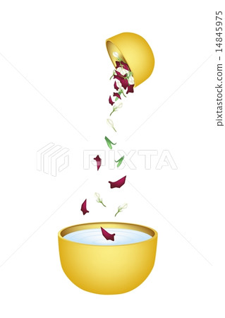 Water Bowl for Songkran Festival 14845975