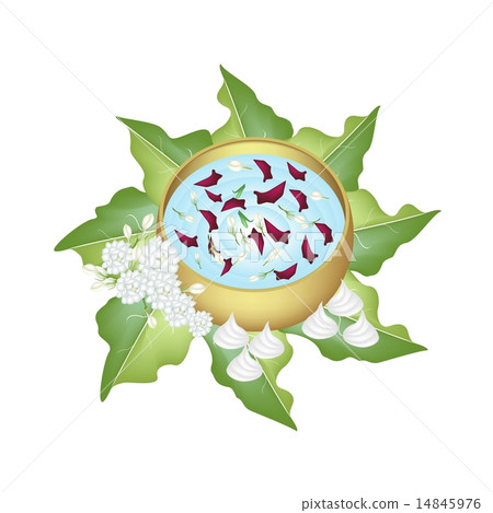 Jasmine and Roses Corolla 14845976