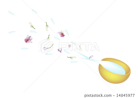 Golden Bowl Splashing Water in Songkran Festival Golden Bowl Splashing Water in Songkran Festival 14845977