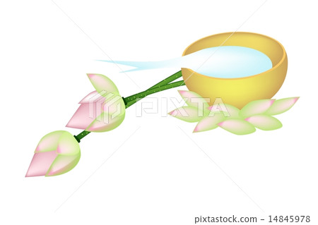 Water in Golden Bowl and Two Lotus Water in Golden Bowl and Two Lotus 14845978