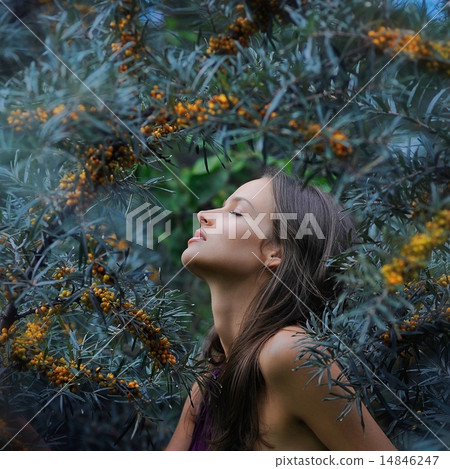 portrait of beautiful young girl portrait of beautiful young girl 14846247
