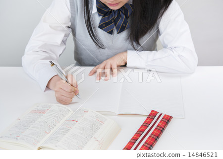 School girls studying 14846521