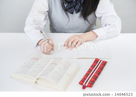 School girls studying 14846523